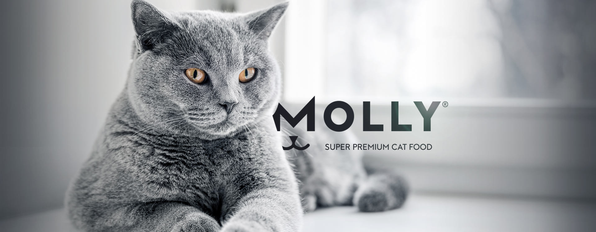 Molly"